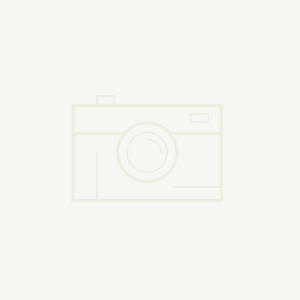 2023年橡膠市場回顧：規(guī)模與增長機會 引領(lǐng)橡膠市場是哪些地區(qū)